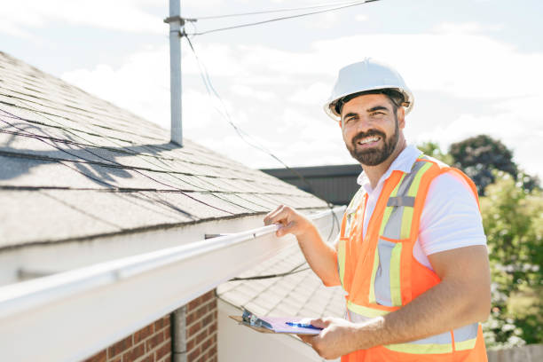 Best Chimney Flashing Repair  in Niles, OH